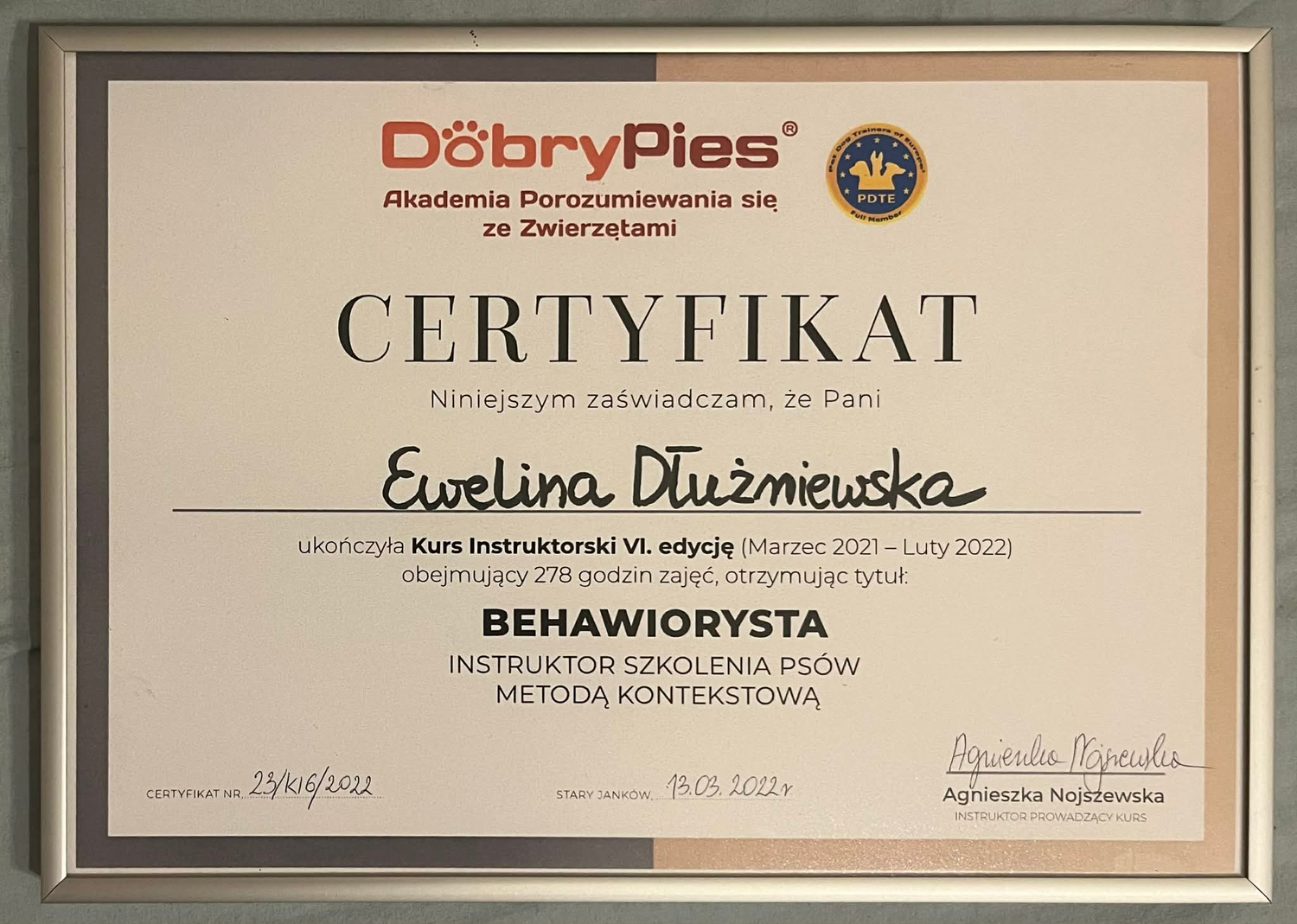 Petsitter z Warszawy uśmiecha się, spoczywając na kanapie z psem rasy welsh corgi cardigan, który leży obok niej na poduszce i patrzy w kamerę.